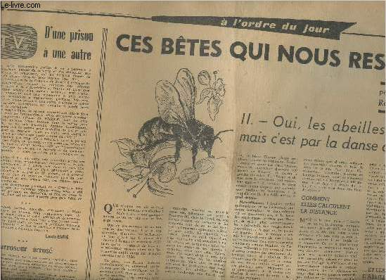 Lot d'Articles: Ces btes qui nous ressemblent parties II  VI (6 volumes)- Extrait de journaux du 18 Novembre 1964 au 24 novembre 1964