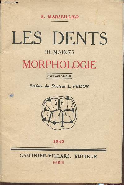 Les dents humaines- Morphologie