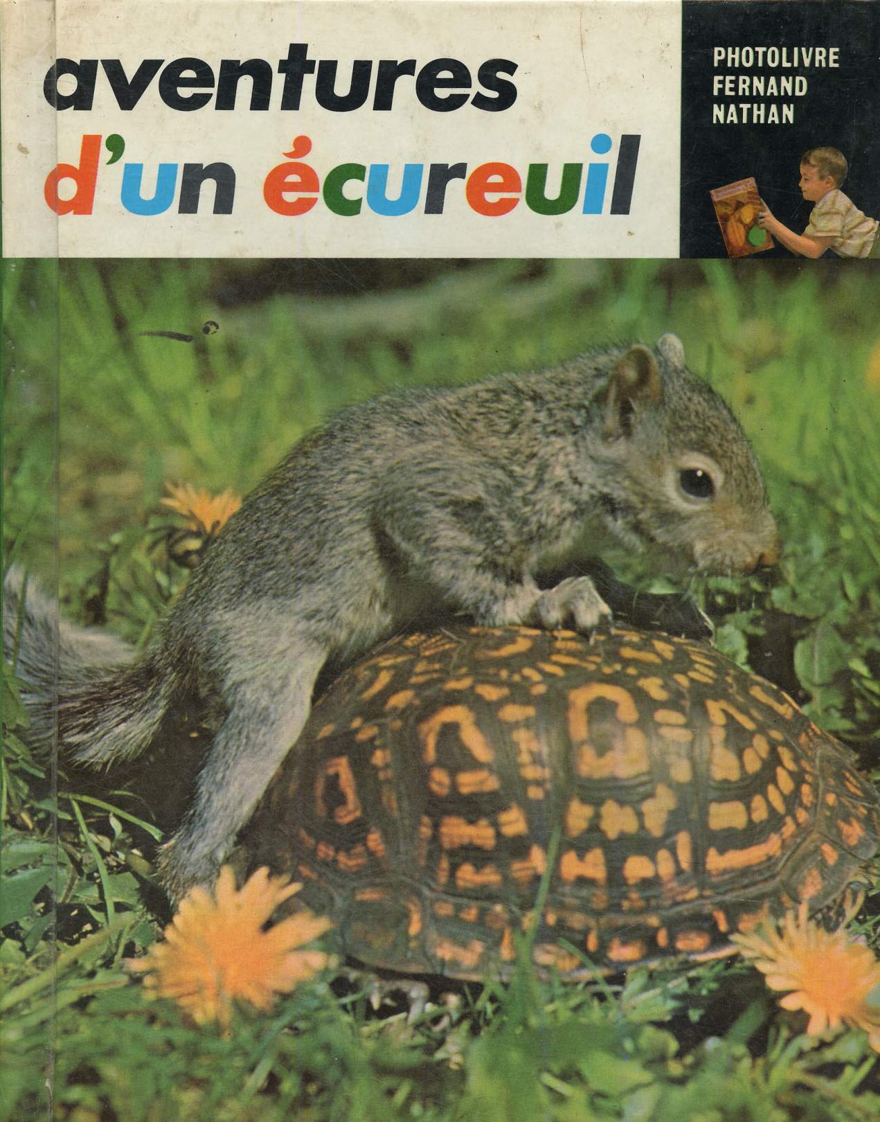 Aventures d'un écureuil (Collection 
