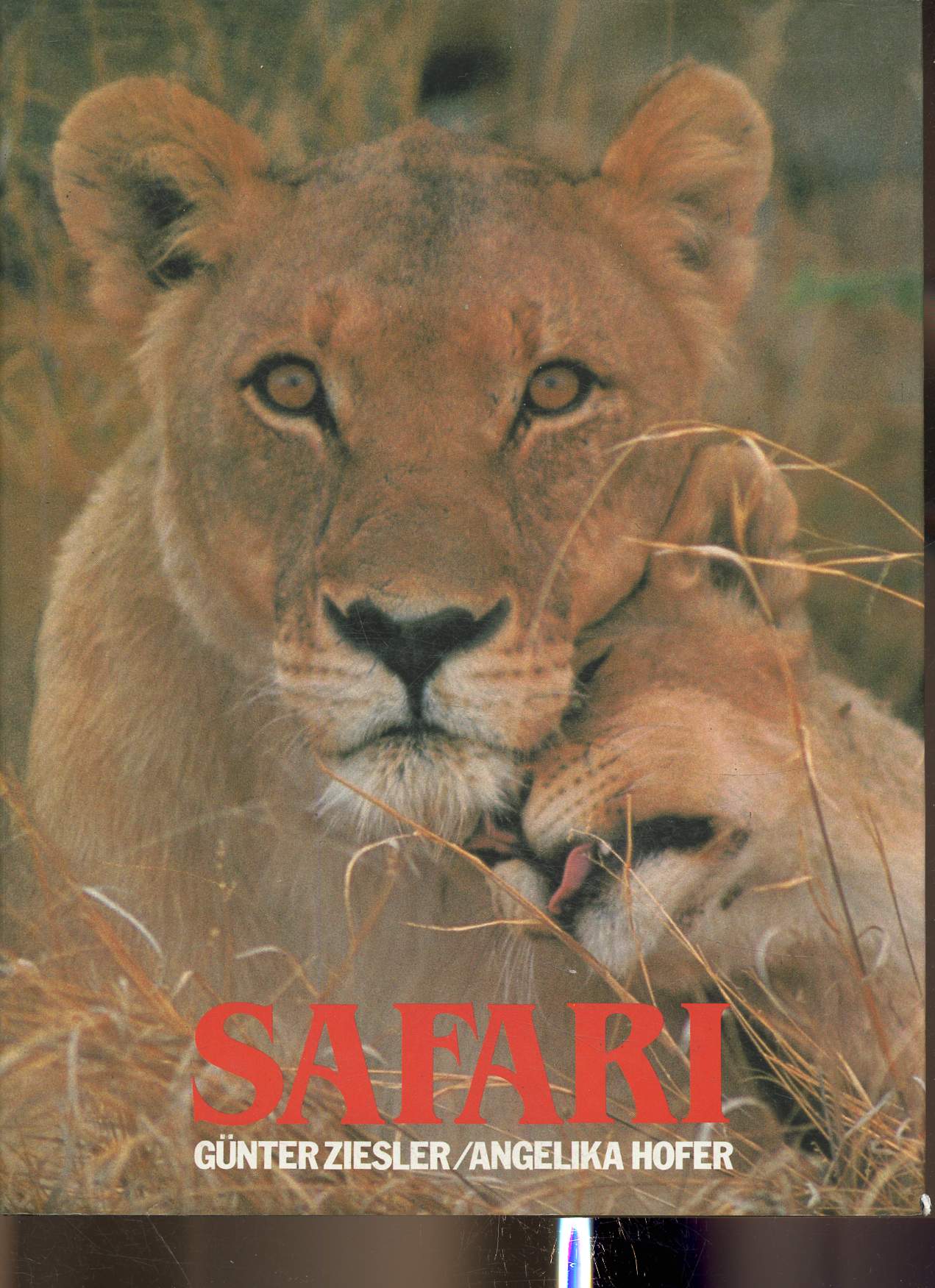 Safari. Les carnets de bord d'un photographe animalier au Kenya