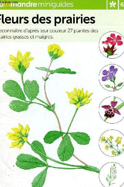 Salamandre miniguides, n62 : fleurs des prairies. Reconnatre d'aprs leur couleur 27 plantes des prairies grasses et maigres