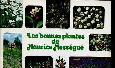 Les bonnes plantes de Maurice Messgu