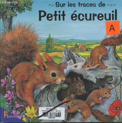 Sur les traces de ...Petit cureuil