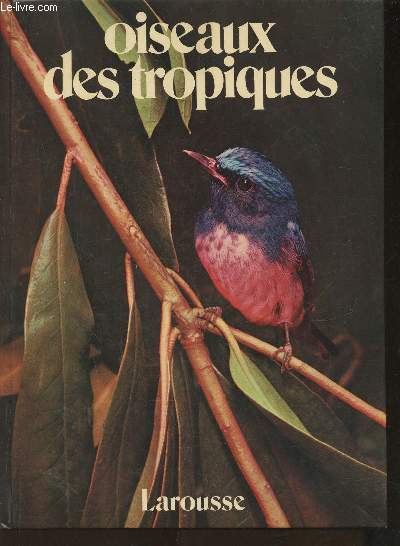 Oiseaux des tropiques