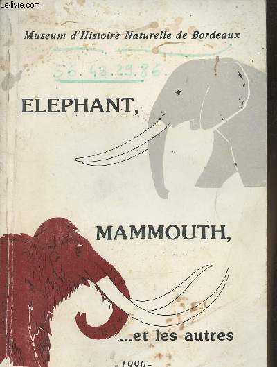 Elphant, mammouth,...et les autres- Museum d'Histoire Naturelle de Bordeux