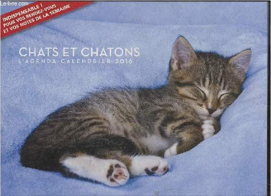Chats et chatons, l'agenda calendrier 2016