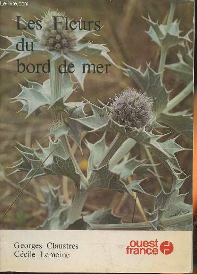 Les fleurs du bord de mer