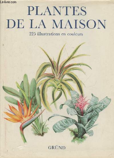 Plantes de la maison