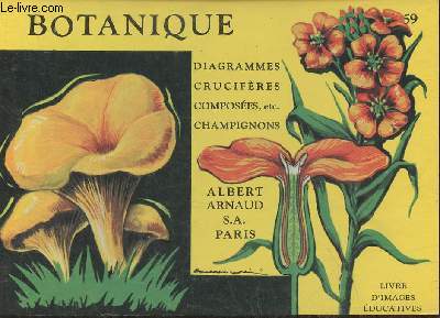 Livre d'images ducatives/Botanique n59- Diagrammes, crucifres composes, etc. Champignons