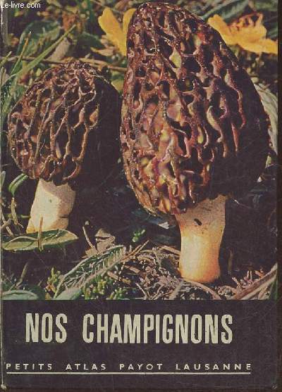 Nos champignons