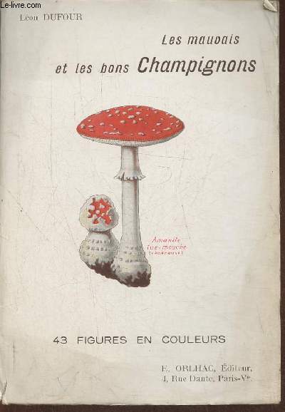 Les mauvais et les bons champignons