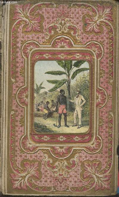 Histoire descriptive et pittoresque de Saint-Domingue (Hati)