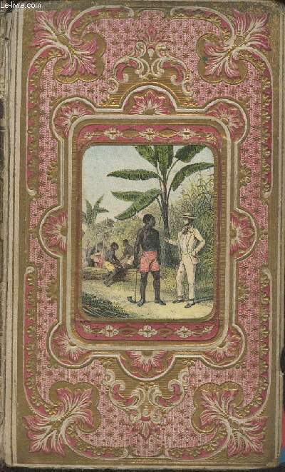 Histoire descriptive et pittoresque de Saint-Domingue (Hati)