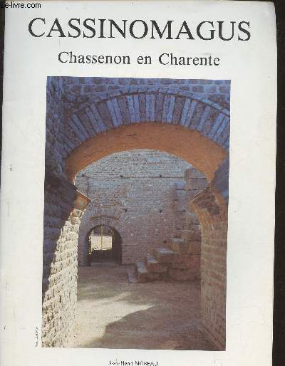 Cassinomagus- Chassenon en Charente, description sommaire et essai d'explication d'un ensemble gallo-romain unique en France