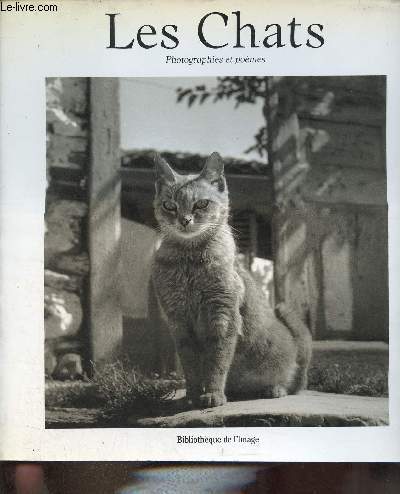 Les Chats - Photographies et pomes.