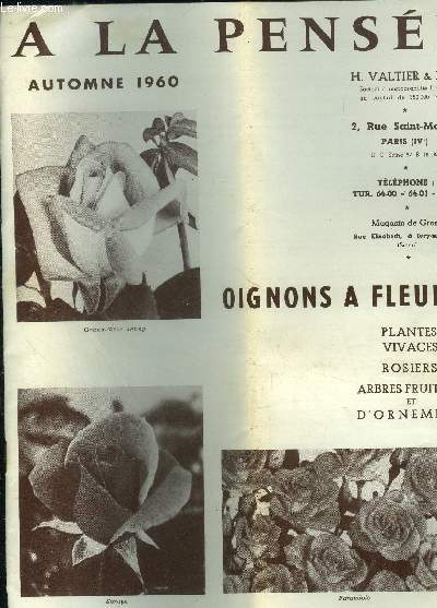 A la pense automne 1960: oignon  fleurs