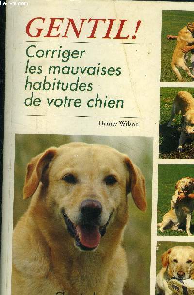 Gentil ! Corriger les mauvaises habitudes de votre chien