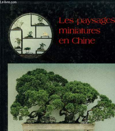Les paysages miniatures en chine