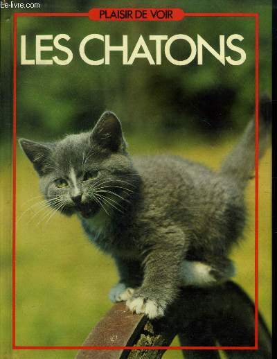 Les chatons (Collection : 