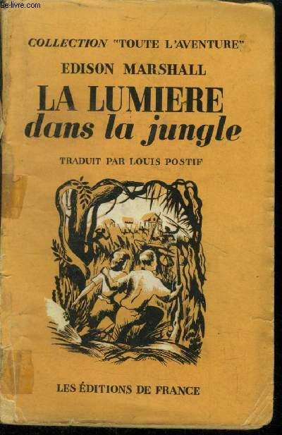 La lumire dans la jungle