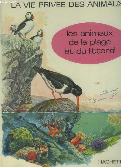 Les animaux de la plage et du littoral - Collection 