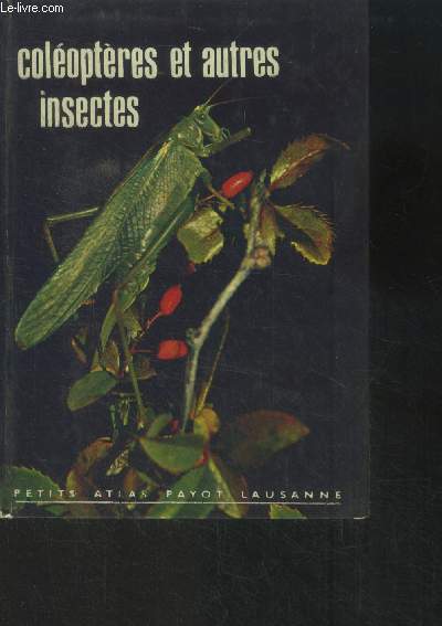 Coloptres et autres insectes