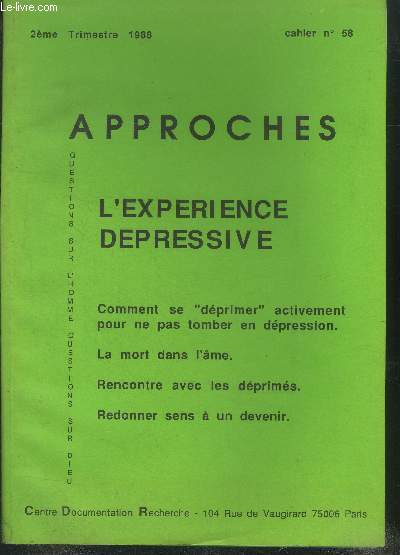 Approches n 58 : l'experience depressive