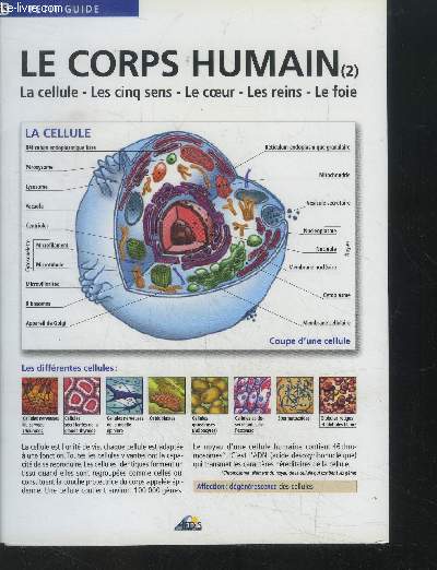 Le corps humain . La cellule, les cinq sens, le coeur, les reins , le foie