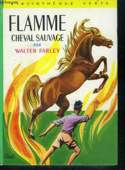 Flamme, cheval sauvage