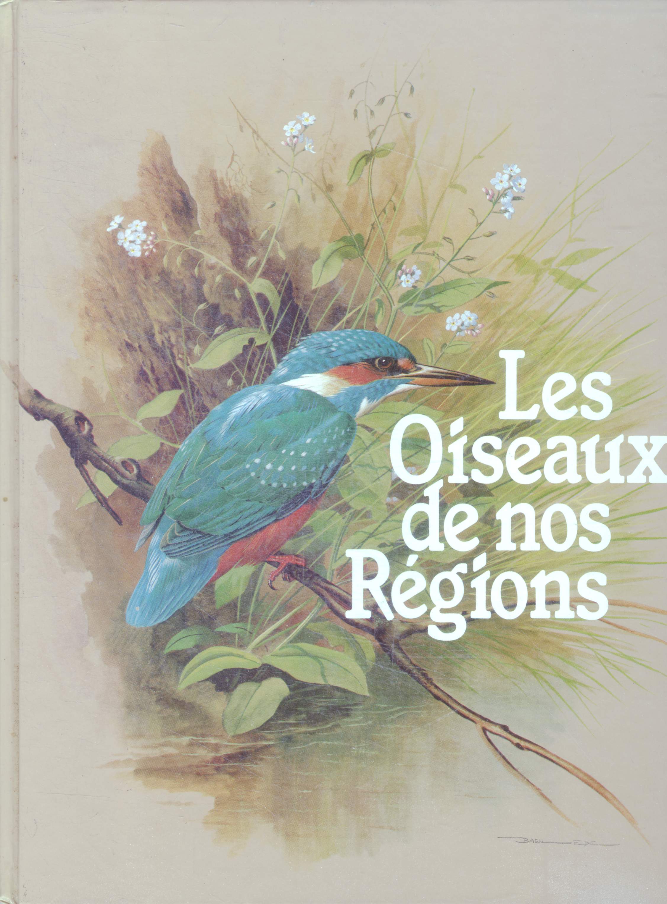 Les oiseaux de nos regions