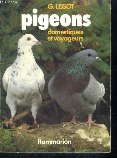 Pigeons domestiques et voyageurs - collection la terre