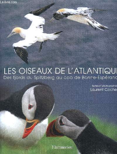 Les oiseaux de l'atlantique - des fjords du spitzberg au cap de bonne-esperance