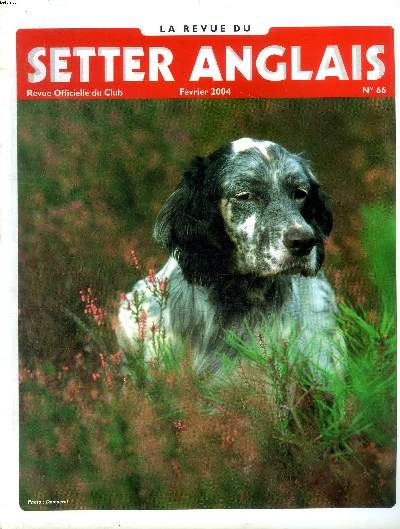 La revue du Setter anglais N66 Fvrier 2004 Sommaire: Elevage et fiscalit; Championnat d'Europe en Italie; Calendrier des field-trials printemps 2004...