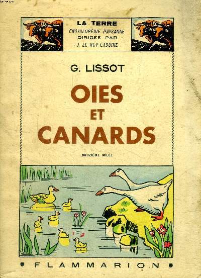Oies et canards Collection La terre