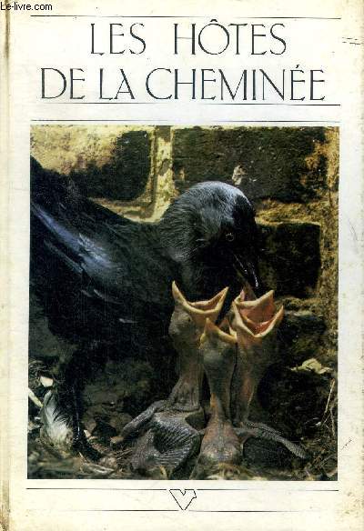 Les htes de la chemine choucas, corbeau et autres corvids