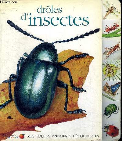Drles d'insectes Collection mes toutes premires dcouvertes