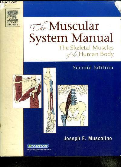 The muscular system manual The skeletal muscles of the human body Second edition