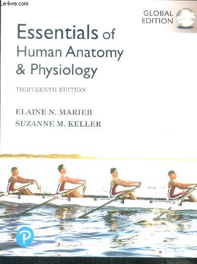 Essentials of Human Anatomy & Physiology - 13th edition
