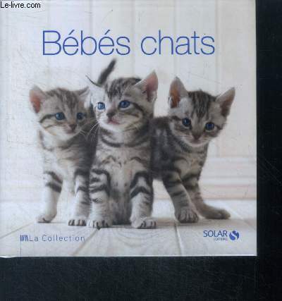 Bebes chats