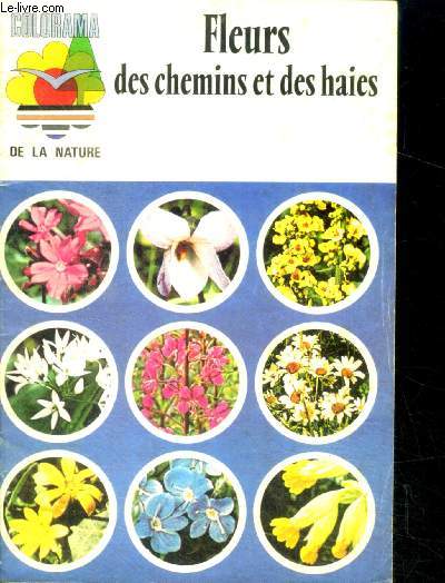 Fleurs des chemins et des haies - Prsentation illustre des espces les plus courantes