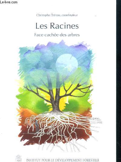 Les racines - Face cache des arbres