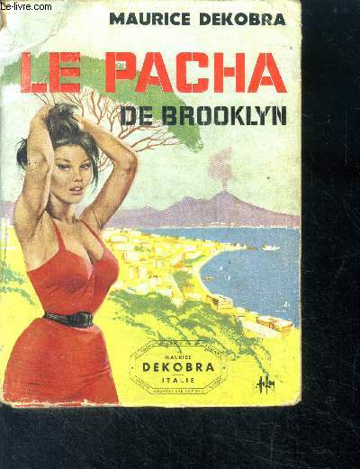 Le pacha de brooklyn - roman