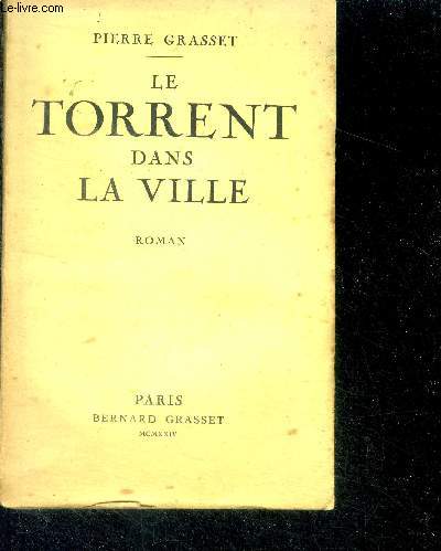 Le torrent dans la ville - roman