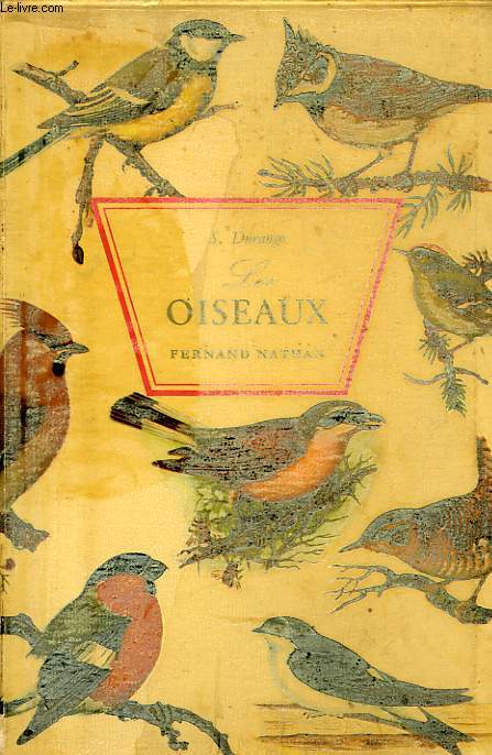 LES OISEAUX