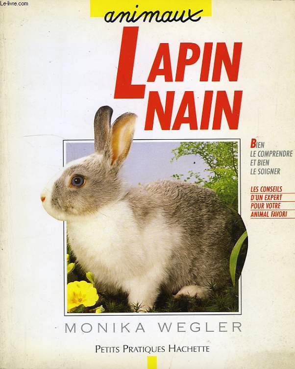 LAPIN NAIN, BIEN LE COMPRENDRE ET BIEN LE PROTEGER