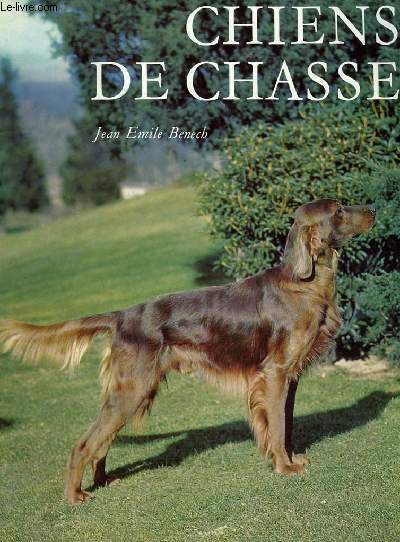 CHIENS DE CHASSE