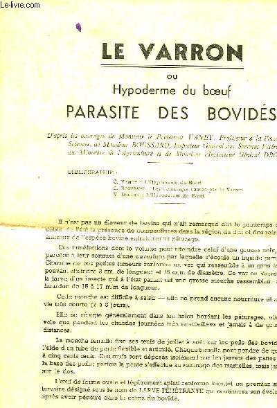 LE VARRON OU HYPODERME DU BOEUF, PARASITE DES BOVIDES