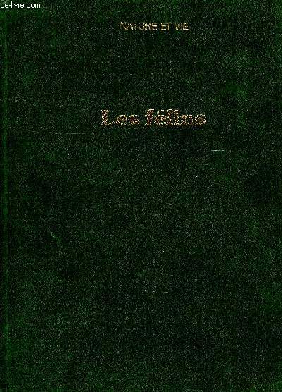LES FELINS