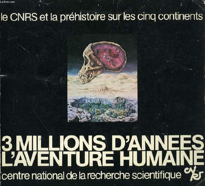 LE CNRS ET LA PREHISTOIRE SUR LS CINQ CONTINENTS, 3 MILLIONS D'ANNEES, L'AVENTURE HUMAINE