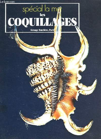 LES COQUILLAGES